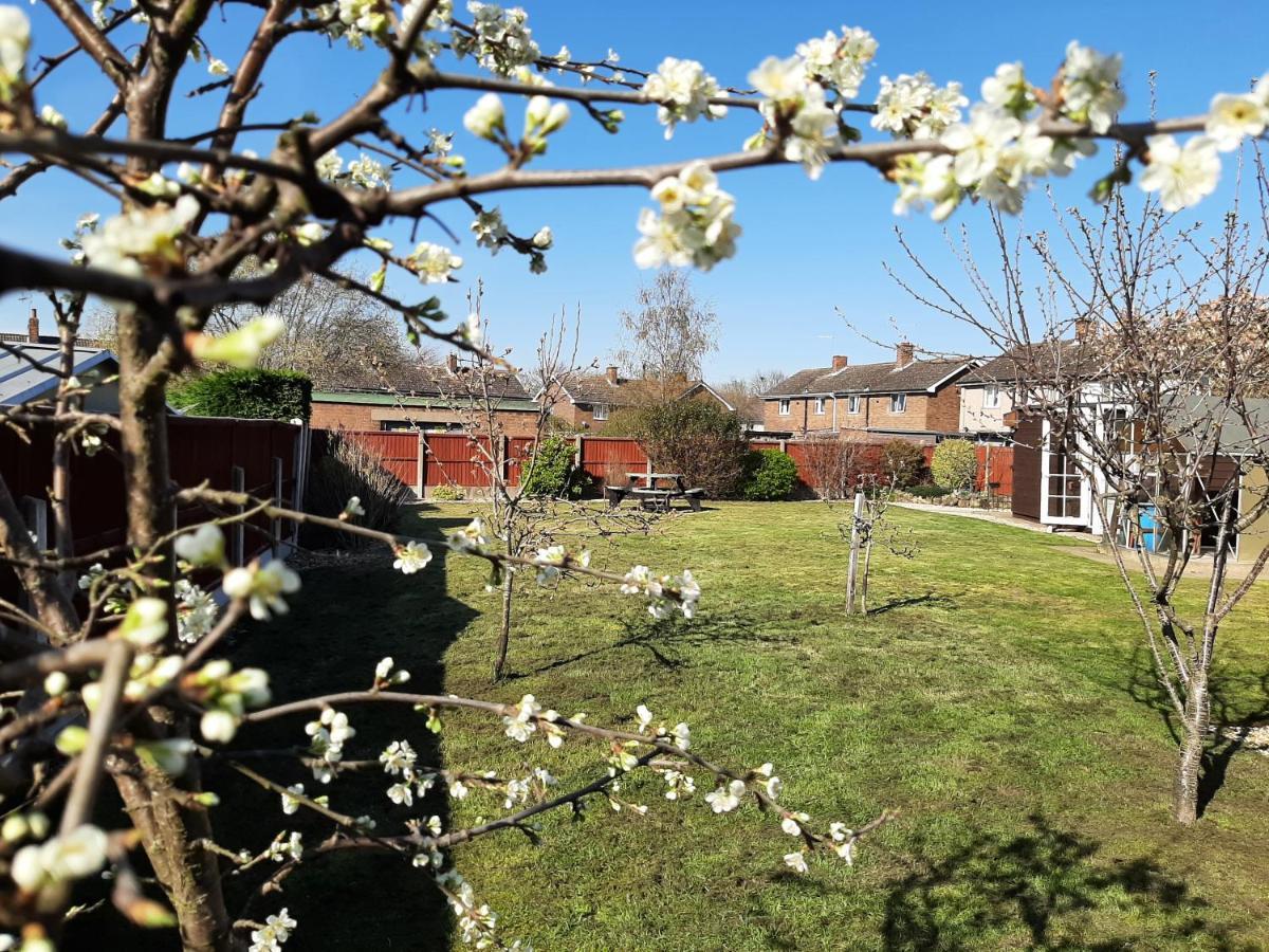 Huge Garden House For Contractors And Families Vila Ollerton Exterior foto